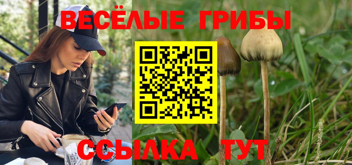 закладки  Галлюциногенные грибы Magic Shrooms  Вход с VPN  Батайск 